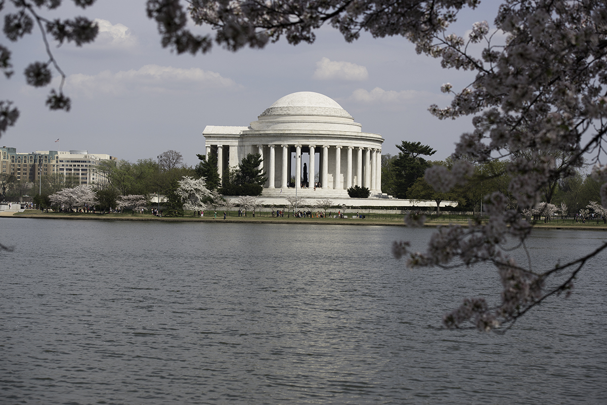 Cherry Blossom Festival, Washington, D.C